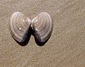 Click to
enlarge